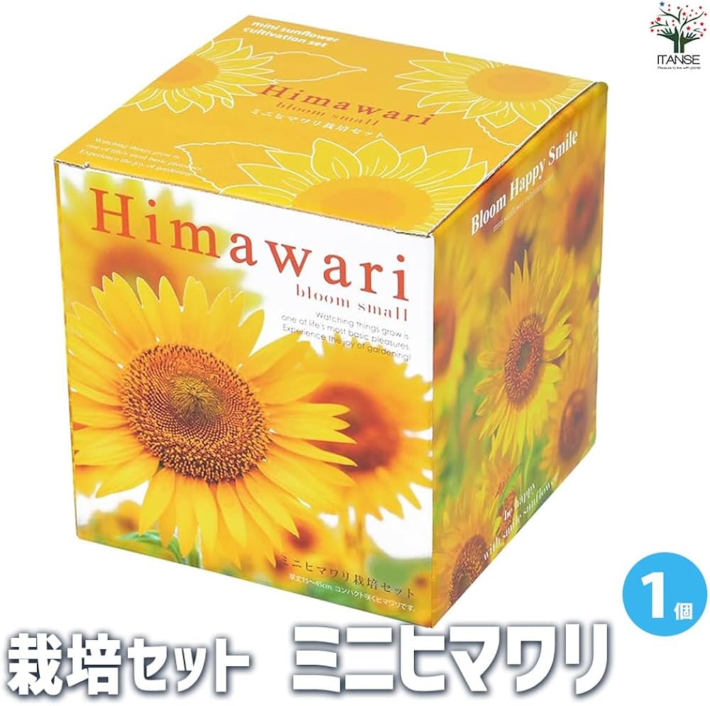 ひまわりIGINセット エンジョイプランター フラワー ミニヒマワリ 栽培セット GD-932
