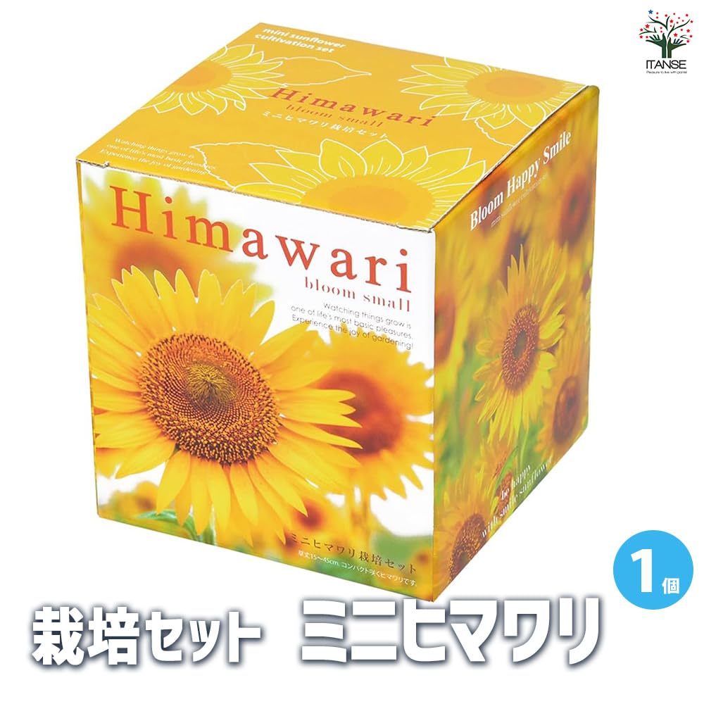 Amazon.co.jp: ITANSE 栽培セット ミニヒマワリ 1個【品種
