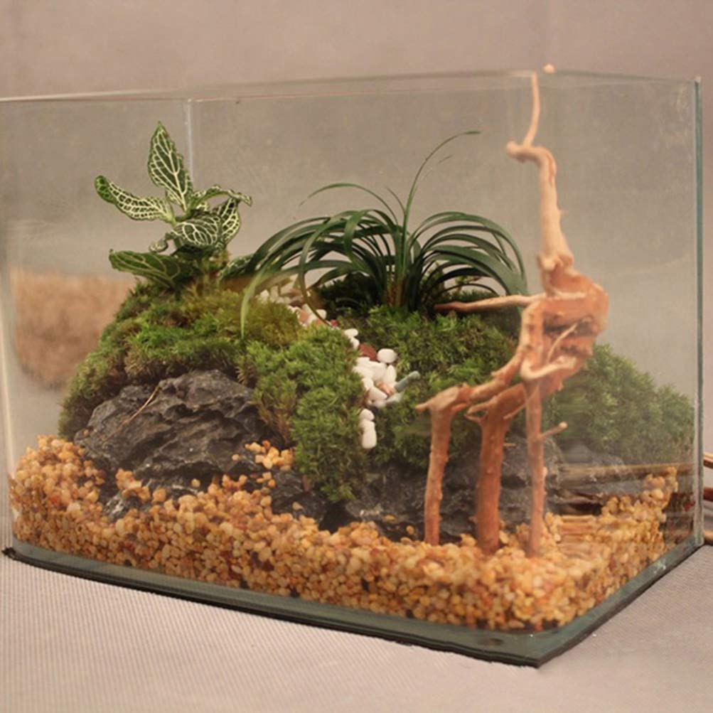 VILLCASE Madera Flotada Natural 4 Piezas Decoraciones Acuario Ramas Ornamentales para Plantas Y Reptiles