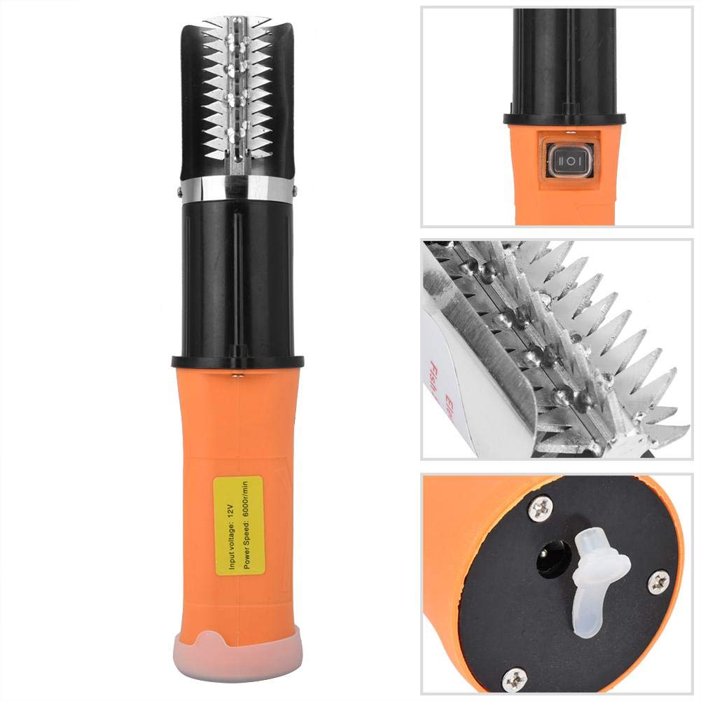 Raspadores de Pescado Eléctricos Inalámbricos Raspador de Escamas de Pescado Extractor de Escamas de Pescado Fácil Herramienta de Limpieza descalcificador de Piel de Pescado(Enchufe de la UE)