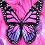 01 Pink Butterfly