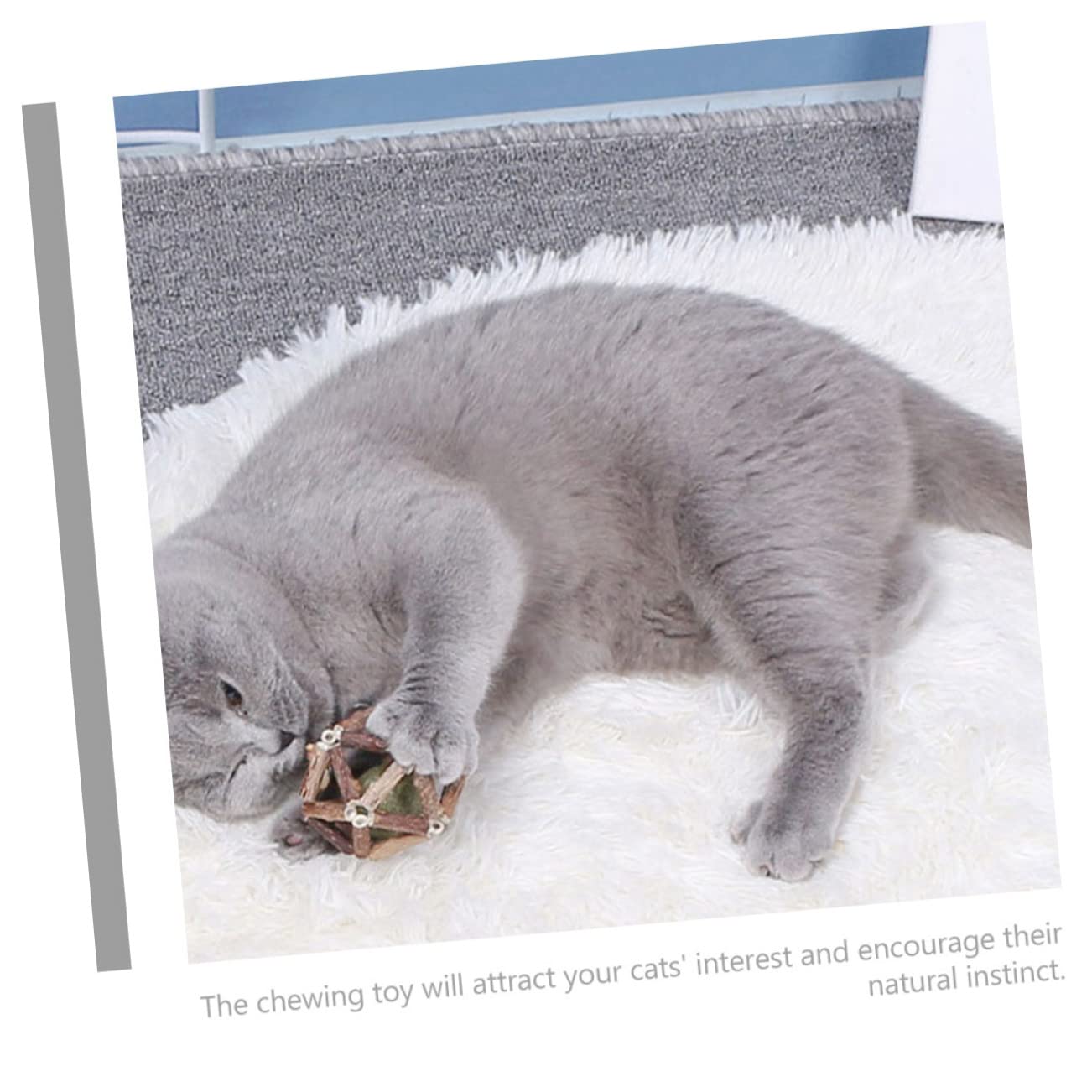 Toddmomy 12pièces Jouets à Mâcher pour Chats Herbe à Chat Boules De Catnip Actinidia Polygama pour Nettoyer Les Dents Et Améliorer La Digestion