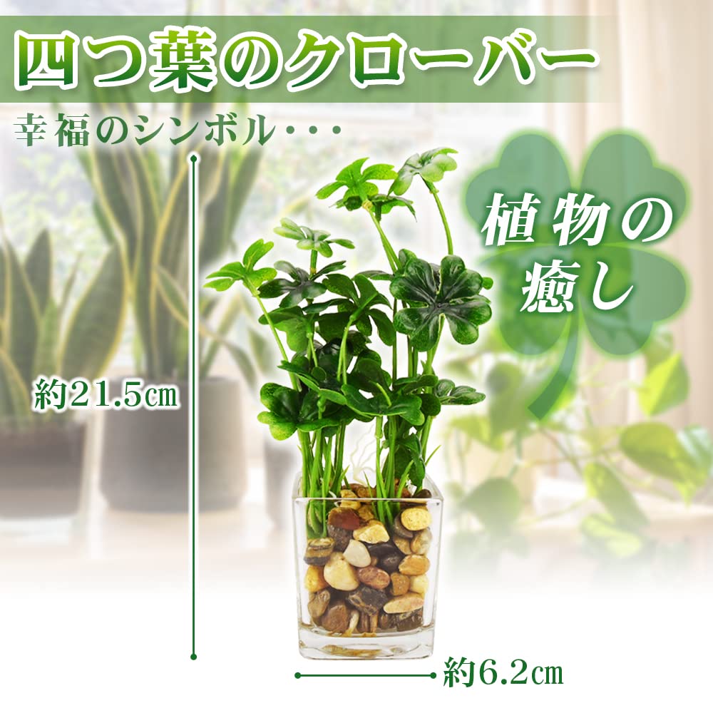 Amazon｜四つ葉のクローバー 光触媒 人工観葉植物 ガラス鉢 お手入れ