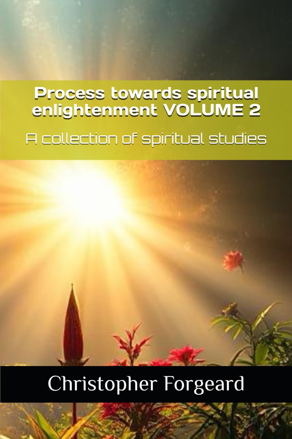 Process towards spiritual enlightenment VOLUME 2: A collection of spiritual studies