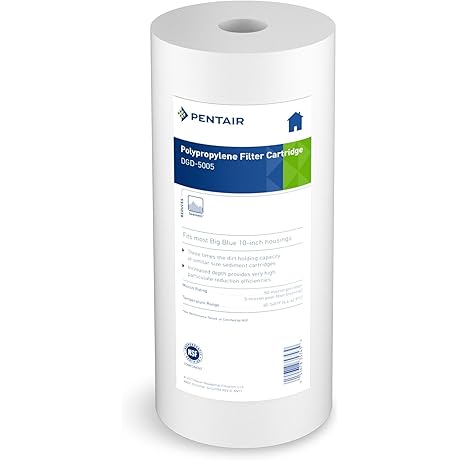 Pentair Pentek DGD-5005 Big Blue Filter: The Ultimate Guardian of Your Water's Purity