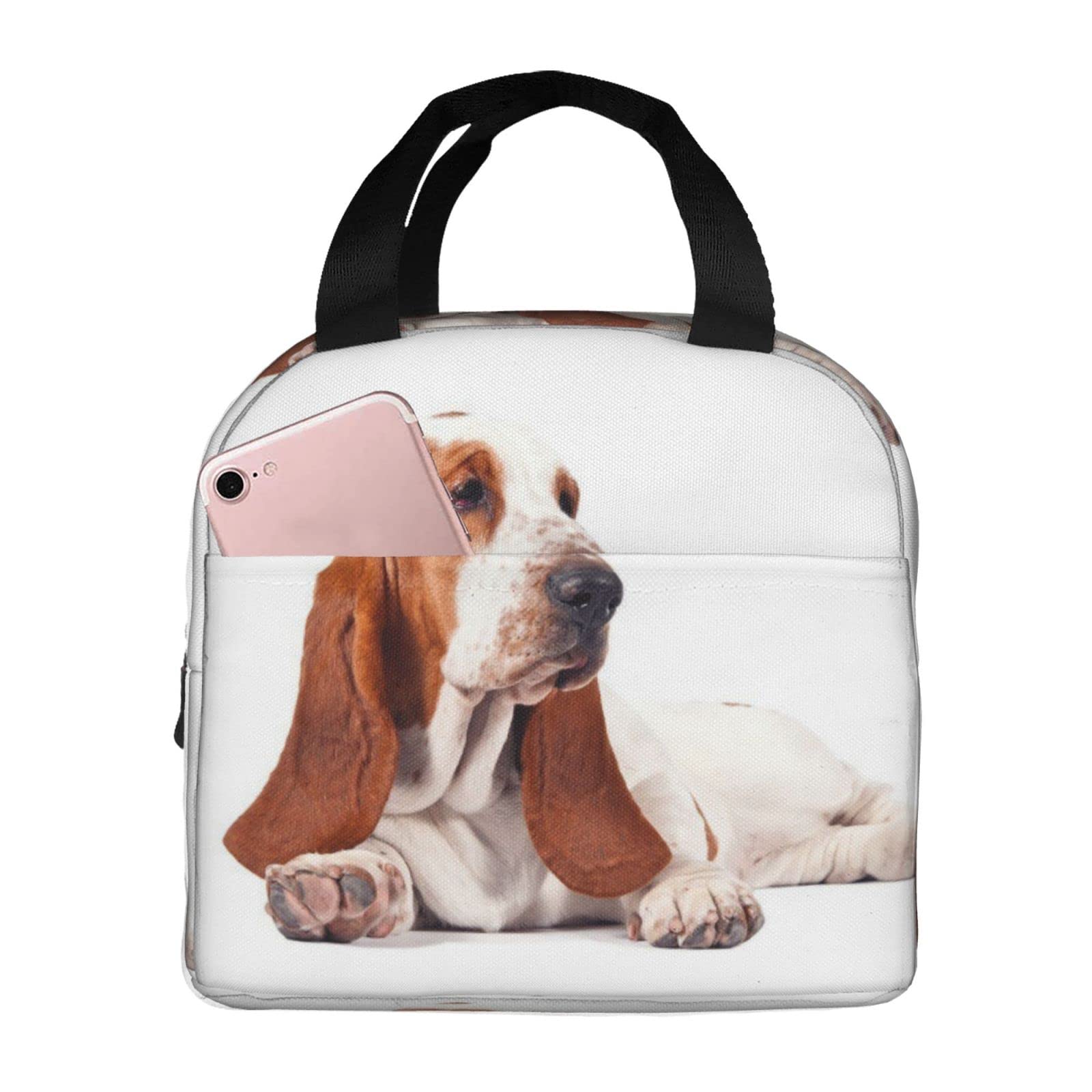 Are Basset Hounds Good Hiking Dogs