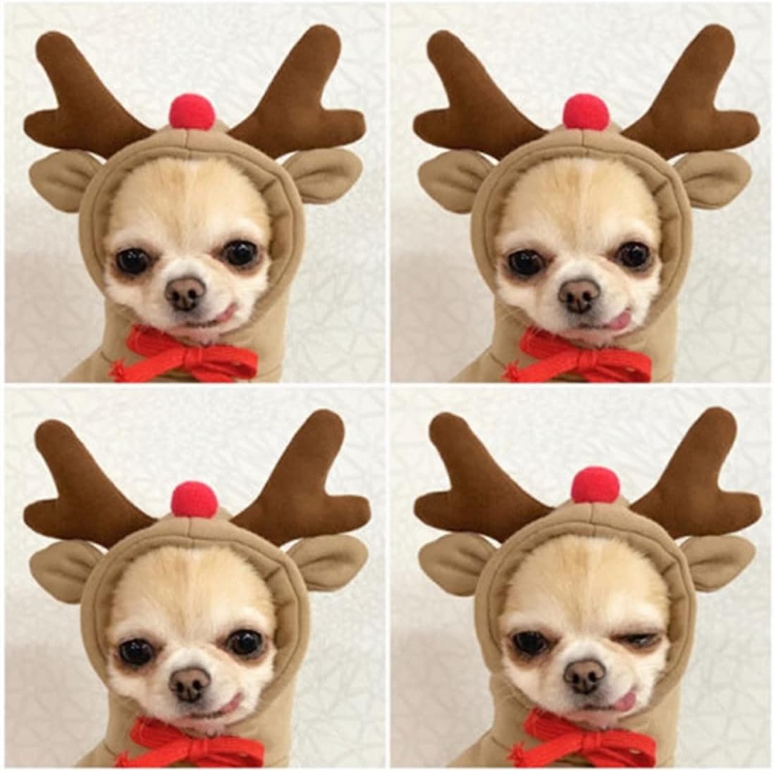 KVV Dog Hoodie-Dog Basic Sweater Coat Cute Frog Shape Warm Jacket Pet Cold Weather Clothes Outfit Outerwear for Cats Puppy Small Large Dogs(SDL-M)