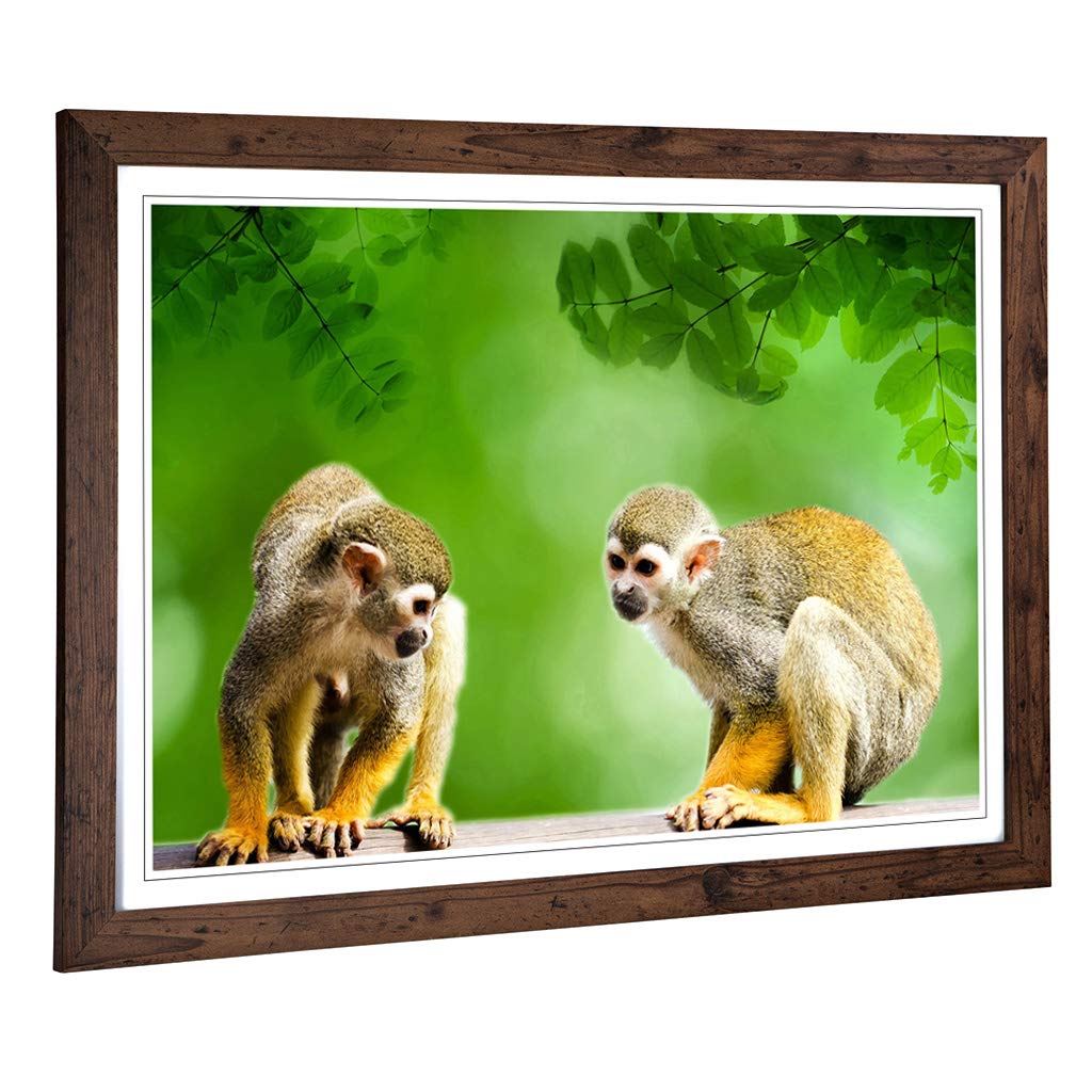 Big Box Art Framed Print of Two Monkeys Design | Wall Art Picture | Home Decor for Kitchen, Living, Dining Room, Lounge, Bedroom, Hallway, Office, Walnut, A2 / 24.5x18 Inch / 62x45cm
