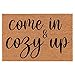 Welcome Doormat Coco Coir Door Mat Come in and Cozy Up Winter Christmas (30