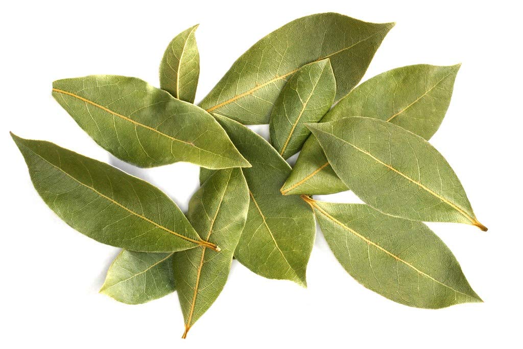 OL Seeds - Tej Patta seed, Tez Patta Seeds, Tej Patta Plant seed, Tej Patta Herbs seeds (pack of 15 Seeds) (B08RCP99KC) Amazon Price History, Amazon Price Tracker