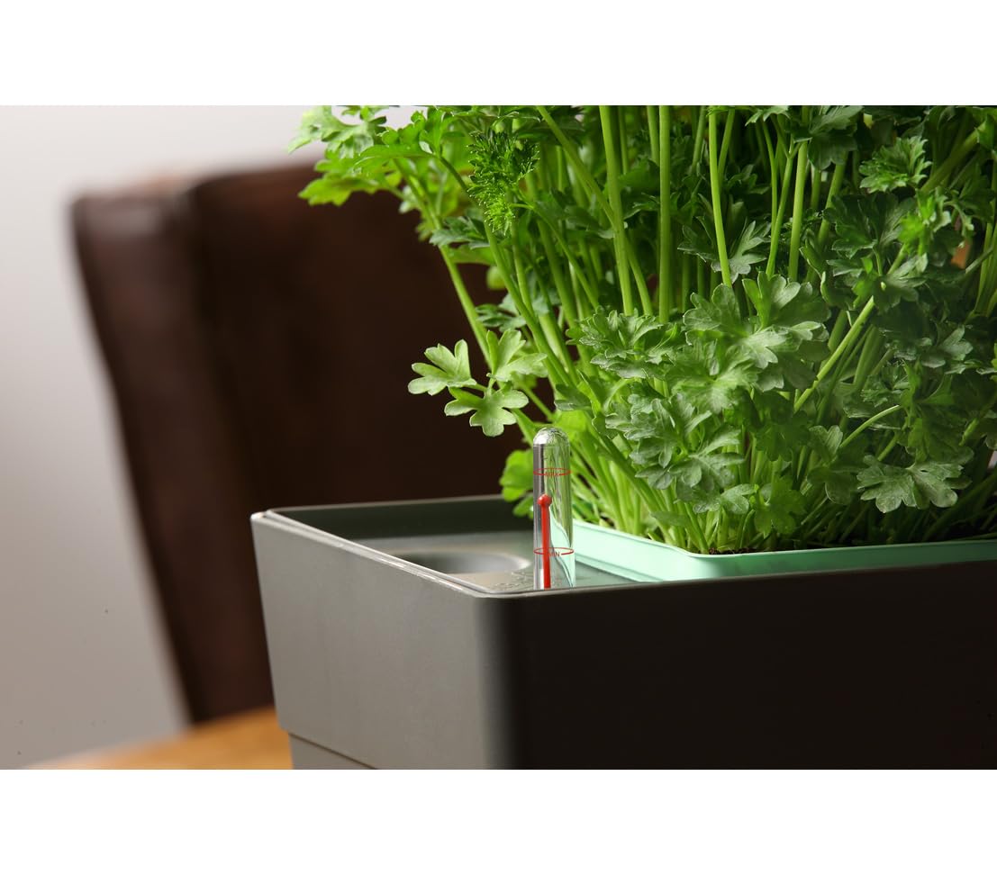 Greenbar® Kräuterkasten, für 3 Kräutertöpfe, mit integriertem Bewässerungssystem, für Indoor/Outdoor, 48 x 16 x 15.5 cm, Kunststoff, anthrazit
