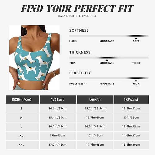 Women's Sports Bra Workout Tank Tops Russell Terrier Dog Athletic Yoga Vest Fashion Crop Tops(XX-Large)