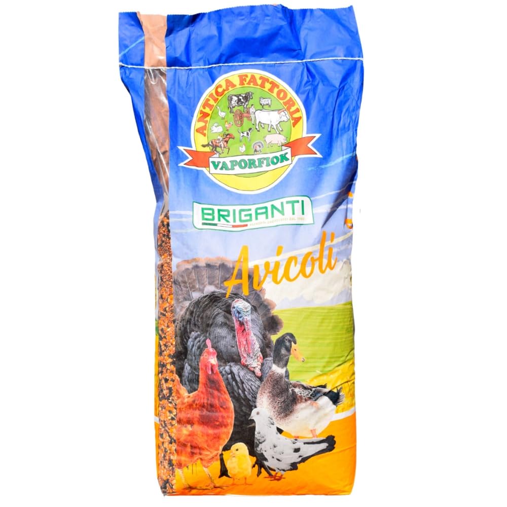 Becchime per Polli e Galline, Mais Franto, Frumento e Sorgo, 25 kg Chicco Gold ideale come alimentazione da mantenimento