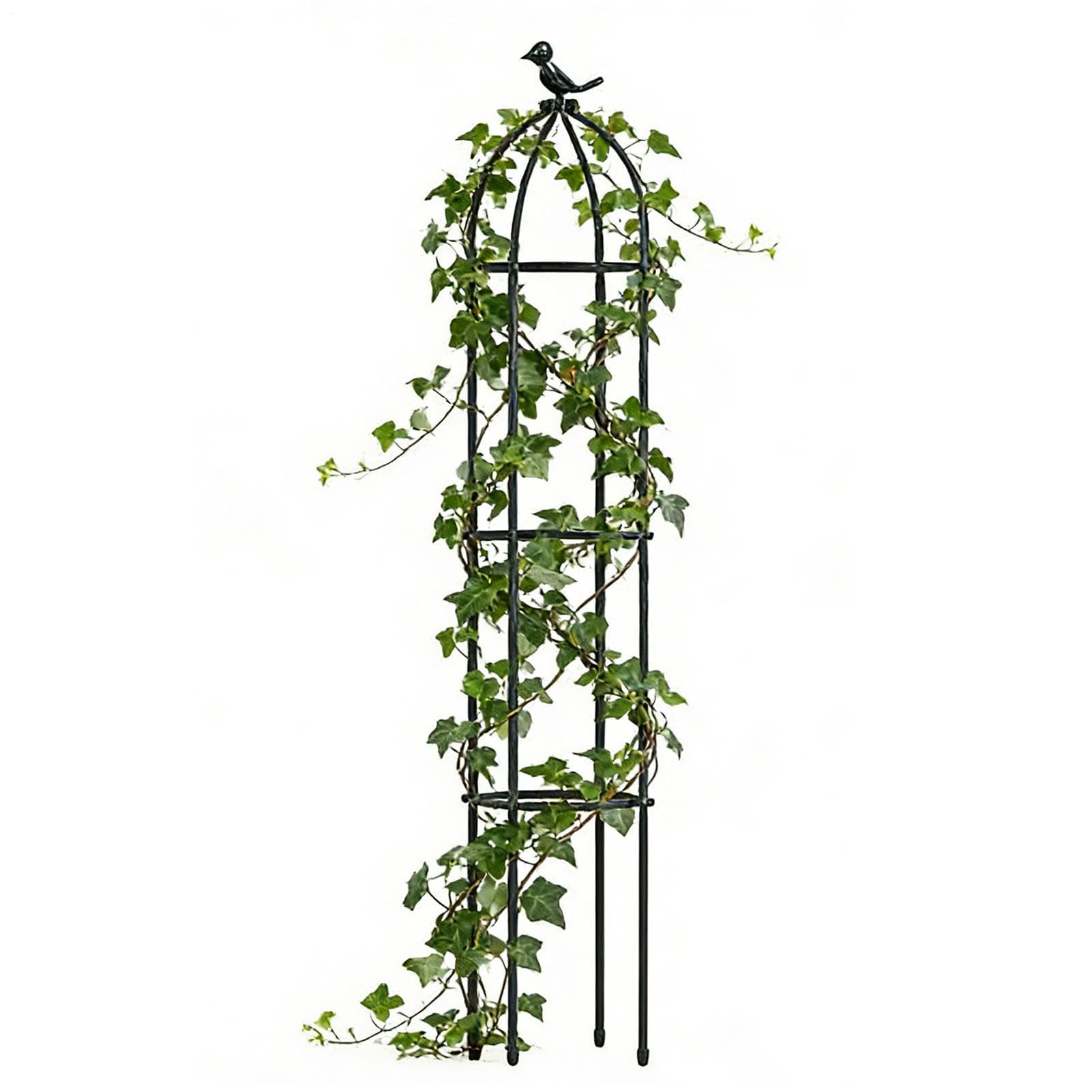 Trellis for Potted Plants - Rustproof Decorative Frame Support | Monstera Plant Support Climbing Trellis for Rose Clematis Jasmine Cucumber Grape | Garden Trelliss - Indoor Outdoor Patio Backyard