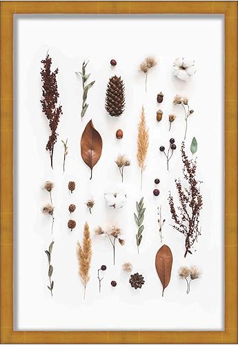 8.5x11 Gold Shadowbox Frame - Shadow Box Frame Interior Size 8.5x11 x 2.25 Inches Deep - Gold Frame Made to Display Items Up to 2.25 Inches Deep!