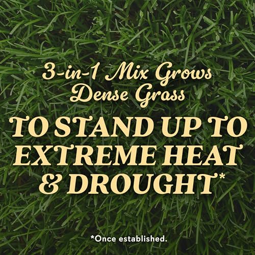 Image of O.M. Scott & Sons Bermudagrass Grass Seed, 5 lbs. (2-Pack)