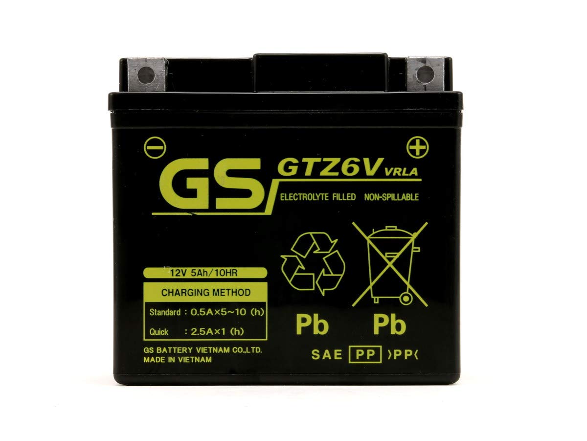 ベトナムGSバッテリー GTZ6V 初期充電済み 1年補償 DUNK AF74…
