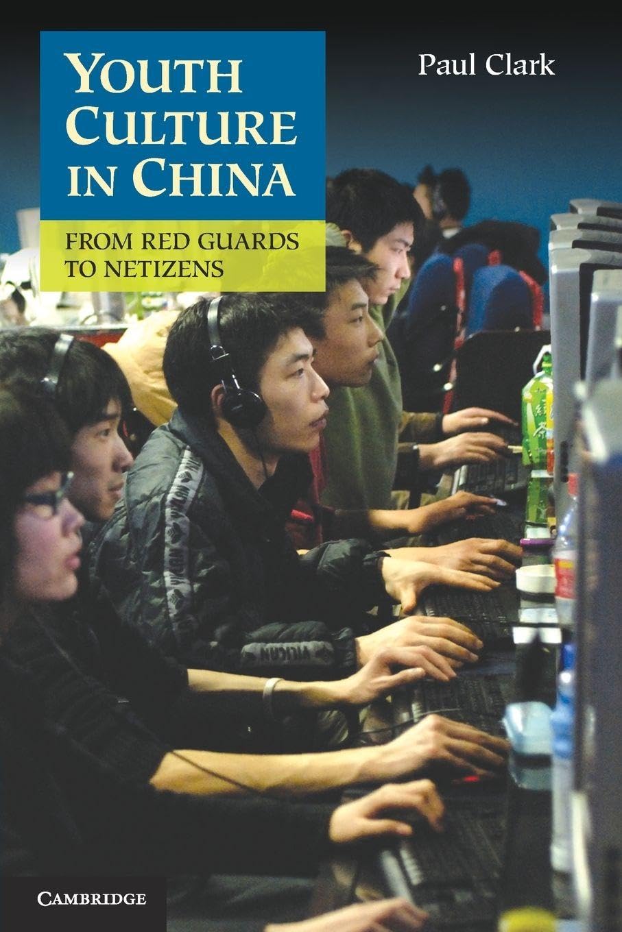 Youth Culture in China: From Red Guards to Netizens