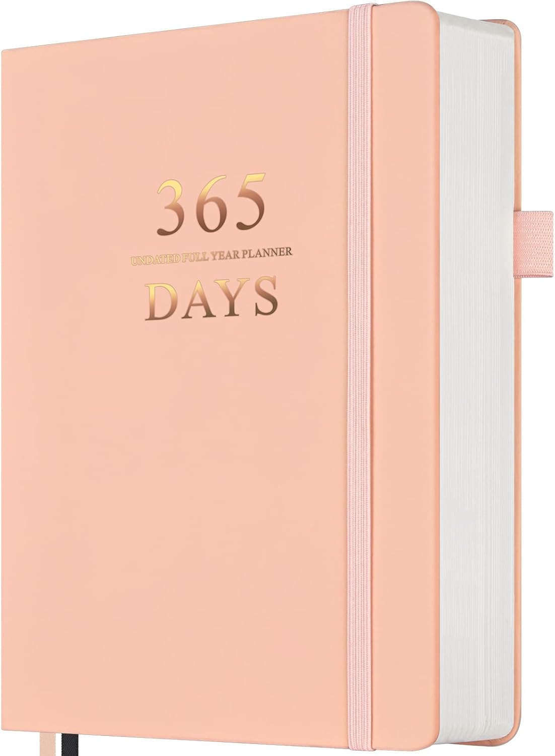 Planner, Undated Daily Planner with To Do List, 365 Days