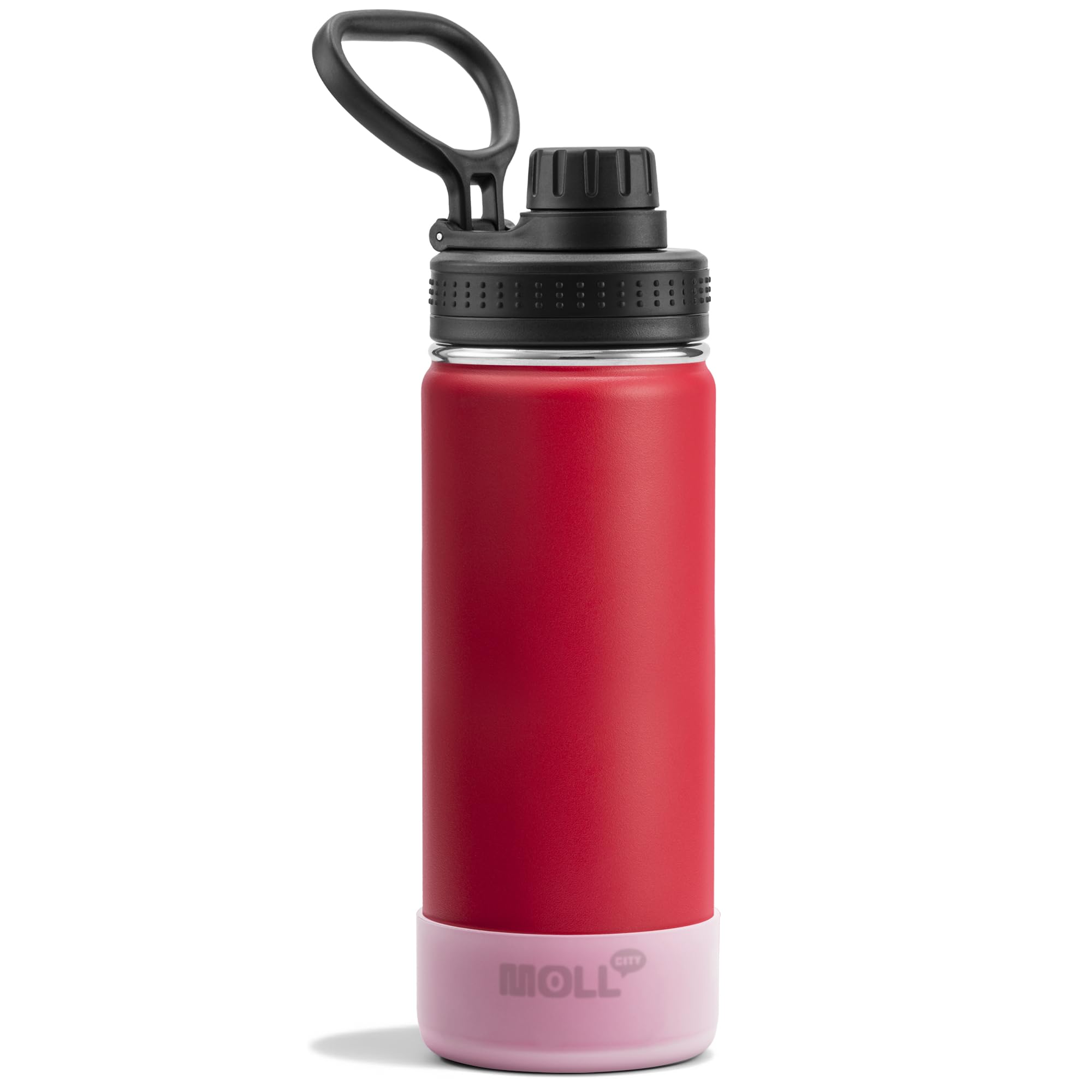 Mollcity 18 oz Stainless Steel Water Bottle