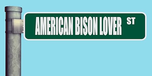 AMERICAN BISON LOVER ST STREET SIGN HEAVY DUTY ALUMINUM ROAD SIGN 17" x 4"