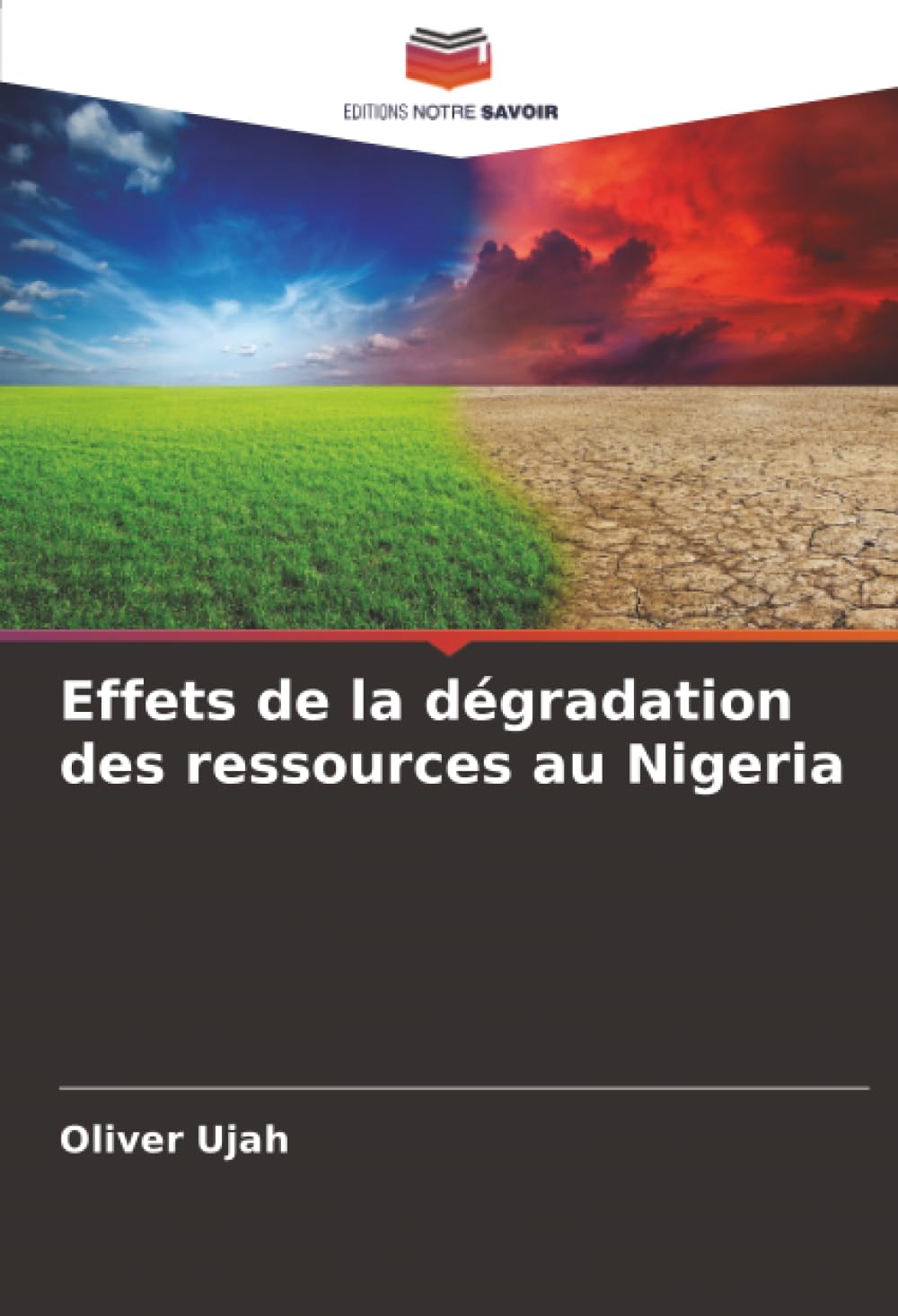 Effets de la dégradation des ressources au Nigeria