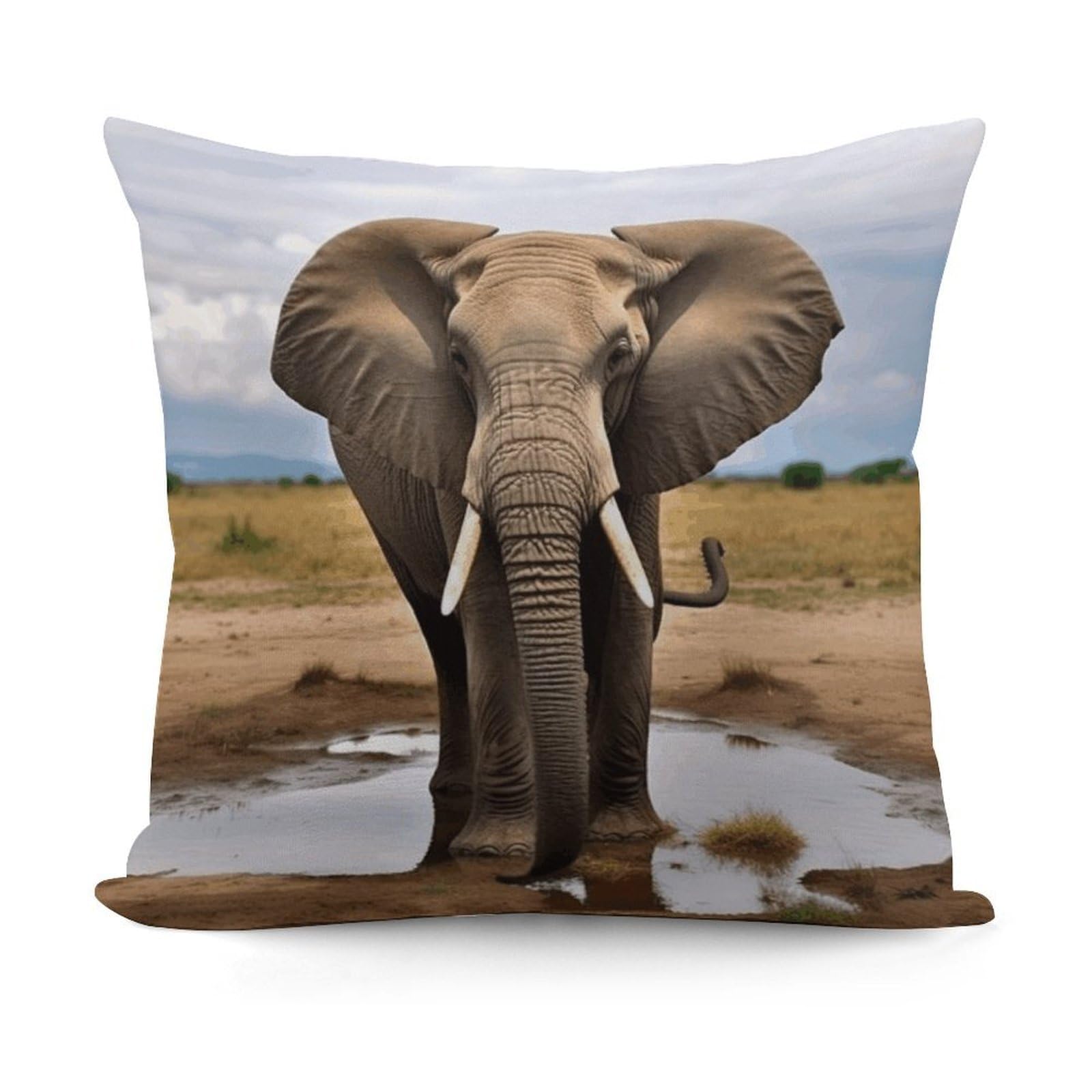 VstaDank African Wild Animals Elephant Throw Pillow Covers 18x18 Inch Soft Couch Home Decor Cushion Cover Comfortable Plush Square Cushion Case Farmhouse Decorative Pillowcase for Living Couch