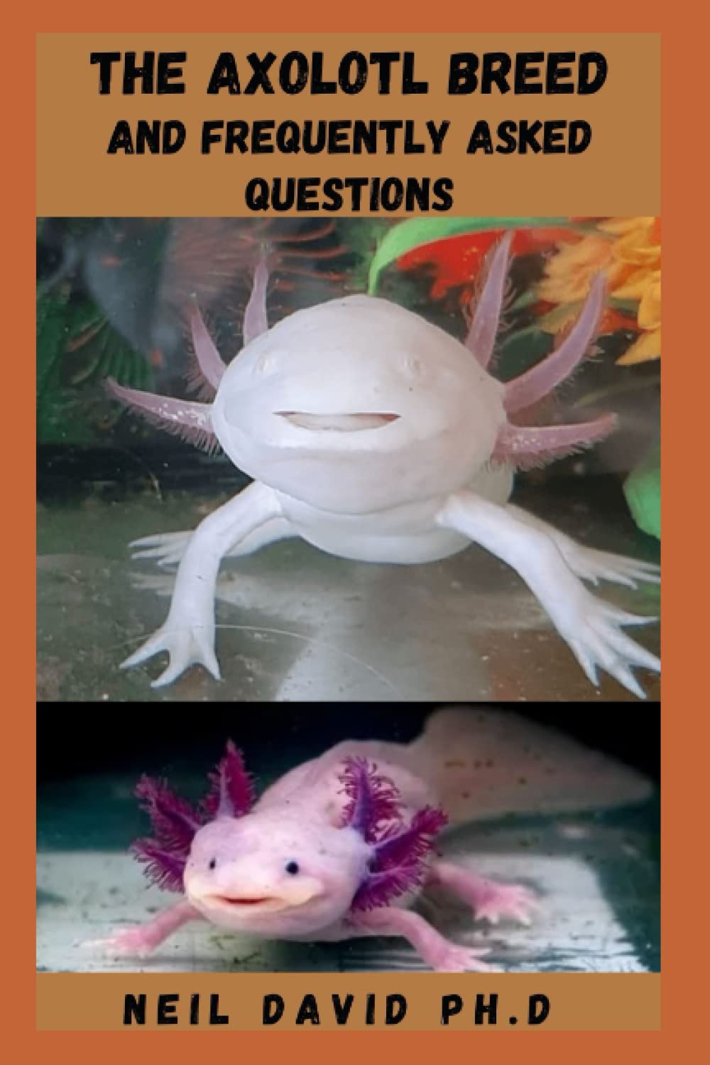 Buy THE AXOLOTL BREED AND FREQUENTLY ASKED QUESTIONS Detailed Guide On
