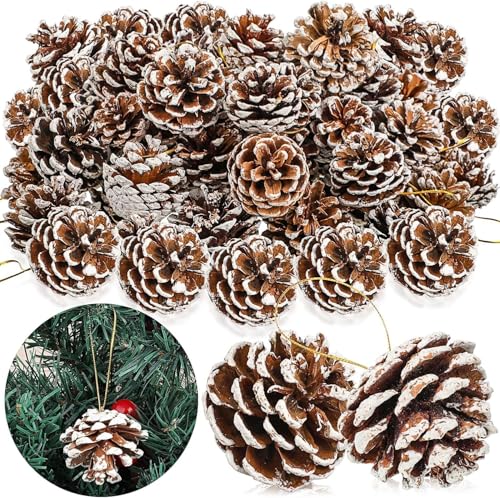Image of Natural Pinecone Ornaments, Pine Cones Bulk Natural Pinecones Assortment for Fall Winter Christmas Bowl Fillers (White Dotted 15pcs)