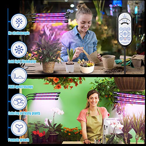 LED Grow Light for Indoor Plant - 60W Tri Head On Desk Plants Growing Lamp with 6 Dimmable Levels Auto Timer Perfect for House Garden Hydroponics Succulent Red Blue Spectrum Clip Adjustable Gooseneck - Thumbnail 2