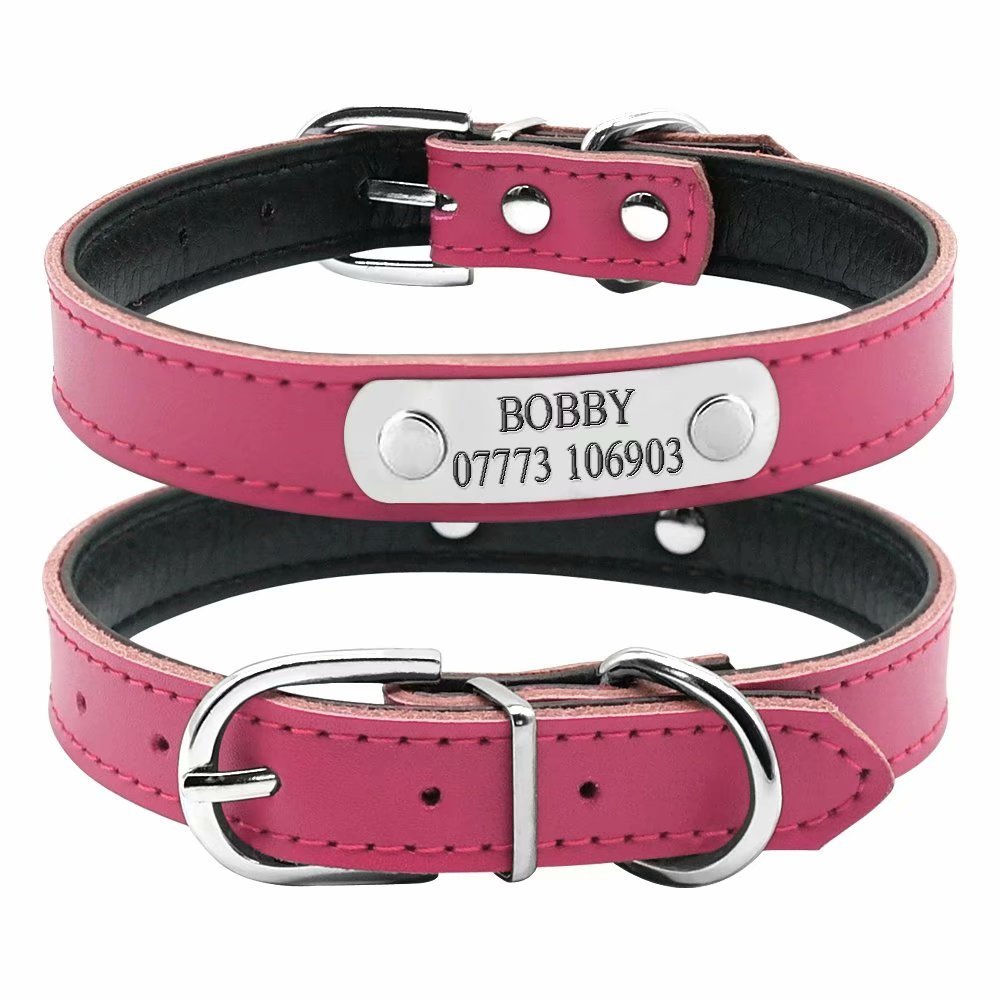 BERRY - Collar para Perro o Gato Acolchado de Piel sintética Suave, Color Azul/Rojo/Negro/Rosa, XS/S/M