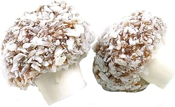 Coconut Mushrooms 1 Kilo Bag