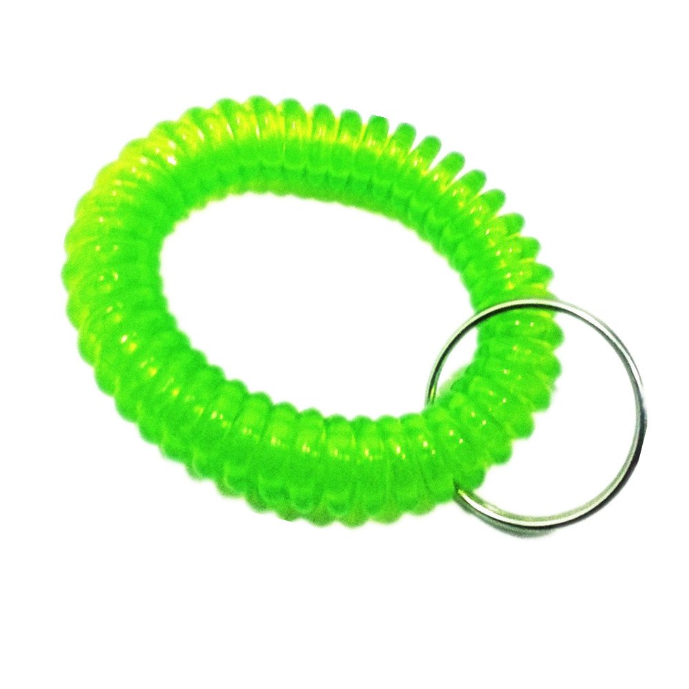 SFamily Pack of 12 Soft Flexible Plastic Spiral Spring Coil Wristband Key Ring Chain Tags Telephone Line Wire Keychains (Green)
