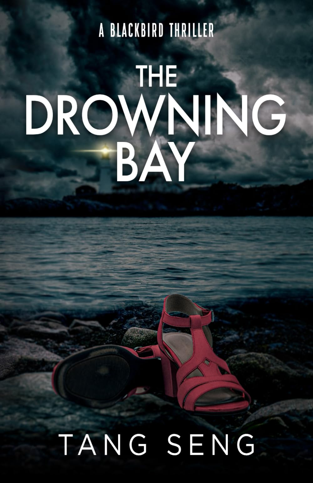 The Drowning Bay: A Small Town Thriller of Justice and Revenge (Blackbird)