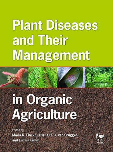 Preisvergleich Produktbild Plant Diseases and Their Management in Organic Agriculture