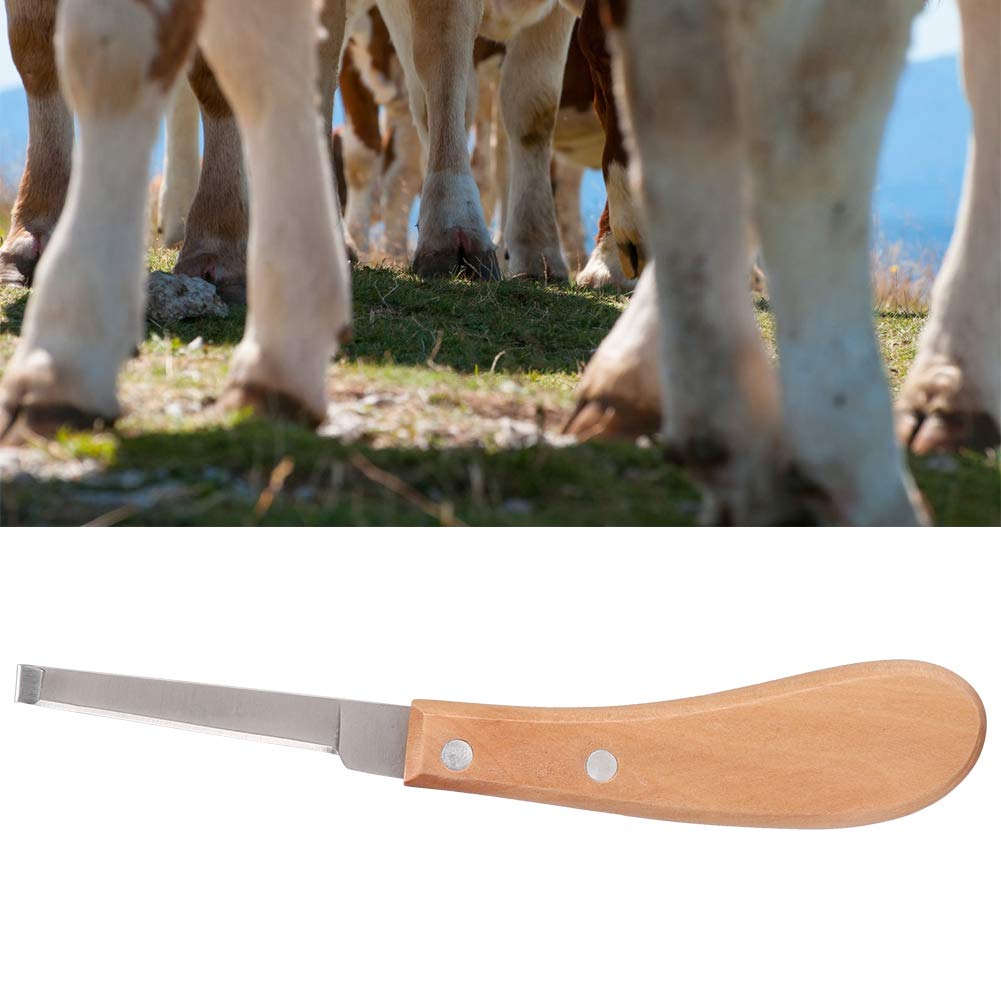 Couteau à Sabot Pointu, Outils de Maréchal-ferrant à Gauche Ou à Droite, Outil de de Couteau à Sabot en Acier Au Carbone pour L'utilisation de Chevaux de Bétail, 8,5 Pouces (Main Droite Droite)