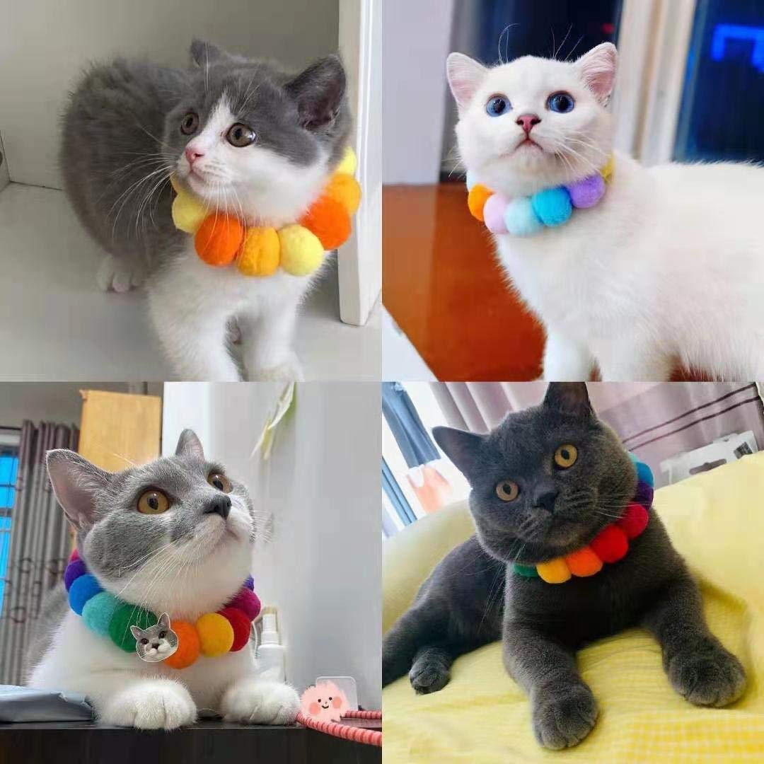 Niaski - Clawed Monet kattenhalsband - PUP STORE