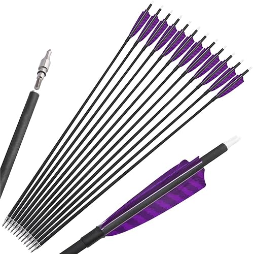 AMEYXGS Flechas de carbono de 30 pulgadas con flechas de caza de plumas de camuflaje de 4 pulgadas, 100 puntos reemplazables de grano para práctica