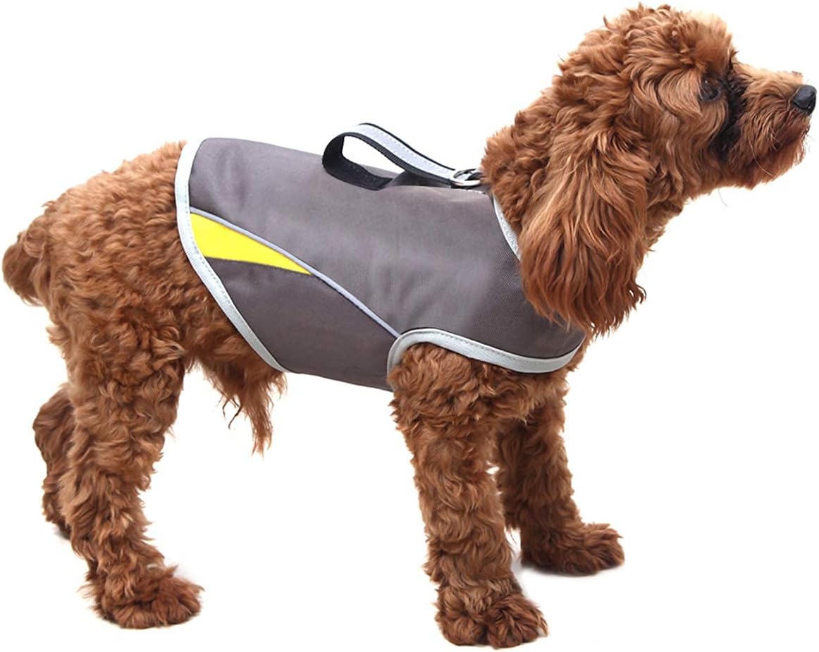 thunder dog vest