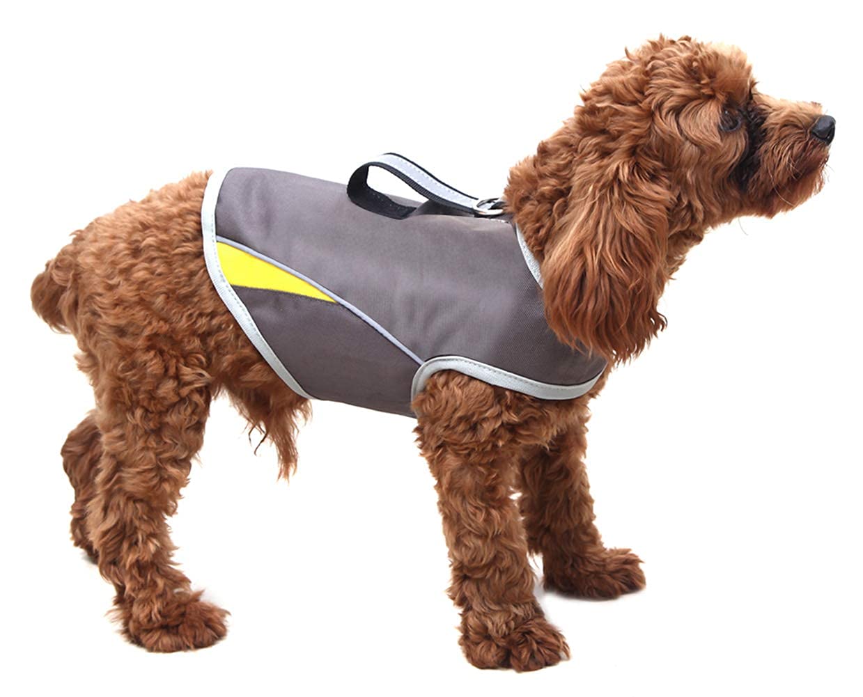 Winbate Dog Anxiety Jacket- Keep Calmig Vest Thunder Coat with D-Ring and Training Handle for Medium Dogs(Grey) — image 1