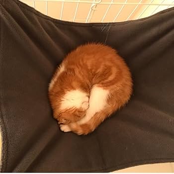 猫、小動物用のハンモック Amazon.co.jp: PureStore Direct ハンモック 猫, 猫のハンモック