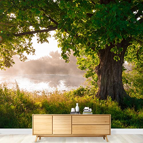Wall26 - Oak Tree In Full Leaf In Summer Standing Alone - Removable Wall Mural | Self-Adhesive Large Wallpaper - 66X96 Inches #TOP2