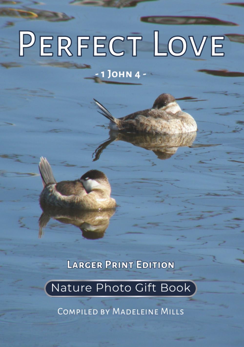 Perfect Love: 1 John 4 - Nature Photo Gift Book - Larger Print Edition (Wedding Hymne Series)