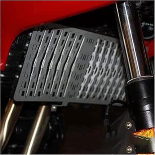Miniatura 6 de Cubierta protectora de rejilla de radiador para BM-&W F750GS F 750 GS F850GS Adventure F 850 GS ADV 2018 2019 2020 2021 protección para parrilla de
