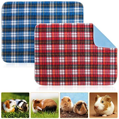 amazon guinea pig bedding