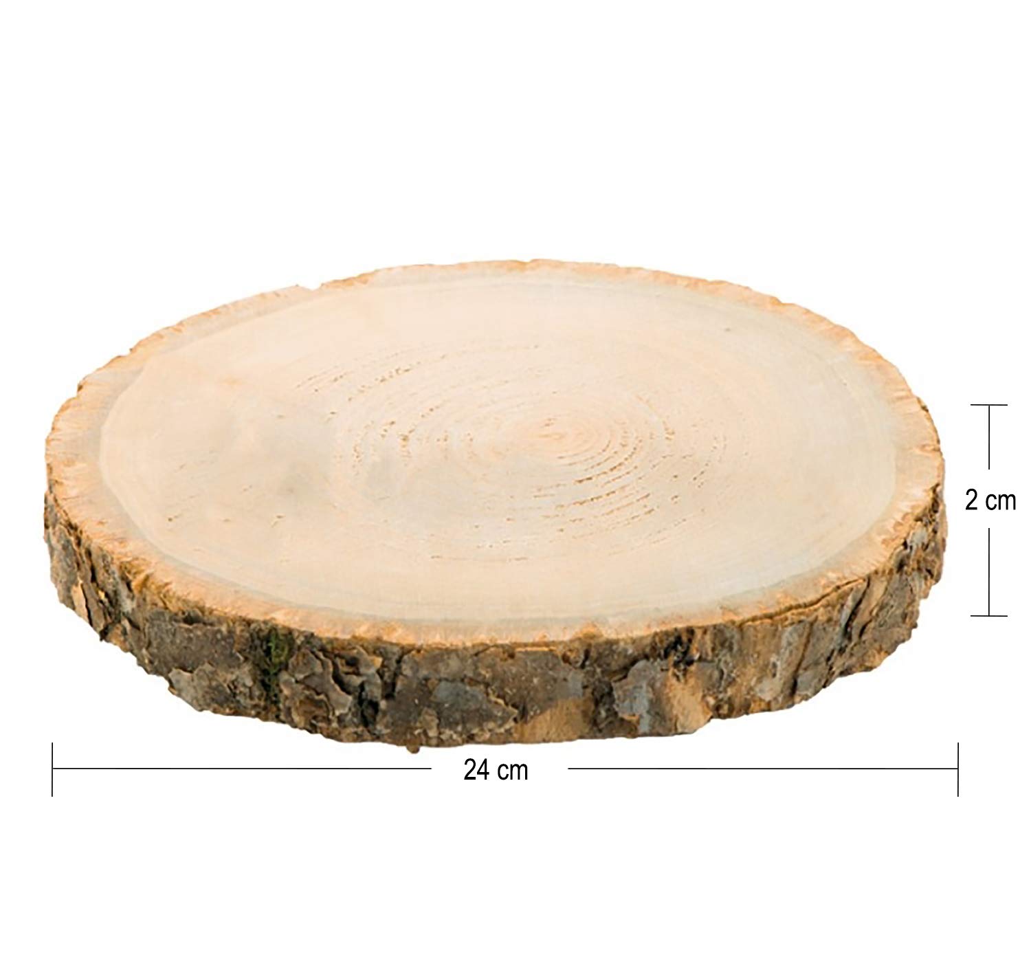 8 x Holzscheibe Baumscheiben-Set, Deko Hochzeit, 24 cm Tisch-Deko Lifestyle