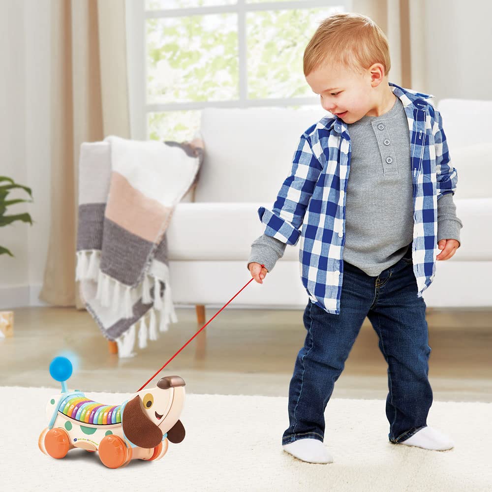 VTech - Mon Chien ABC Interactif, Jouet à Tirer Musical, Chien Interactif Partiellement en Bois, Jeu d'Éveil Alphabet Rigolo, Cadeau Bébé Garçon et Fille Dès 1 an - Contenu en Français