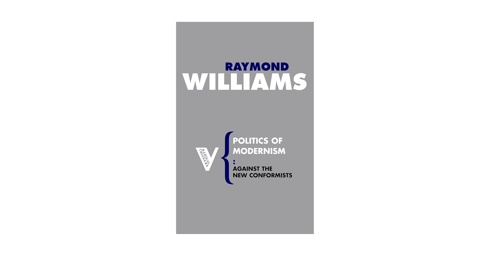 Politics of Modernism: Against the New Conformists (Radical