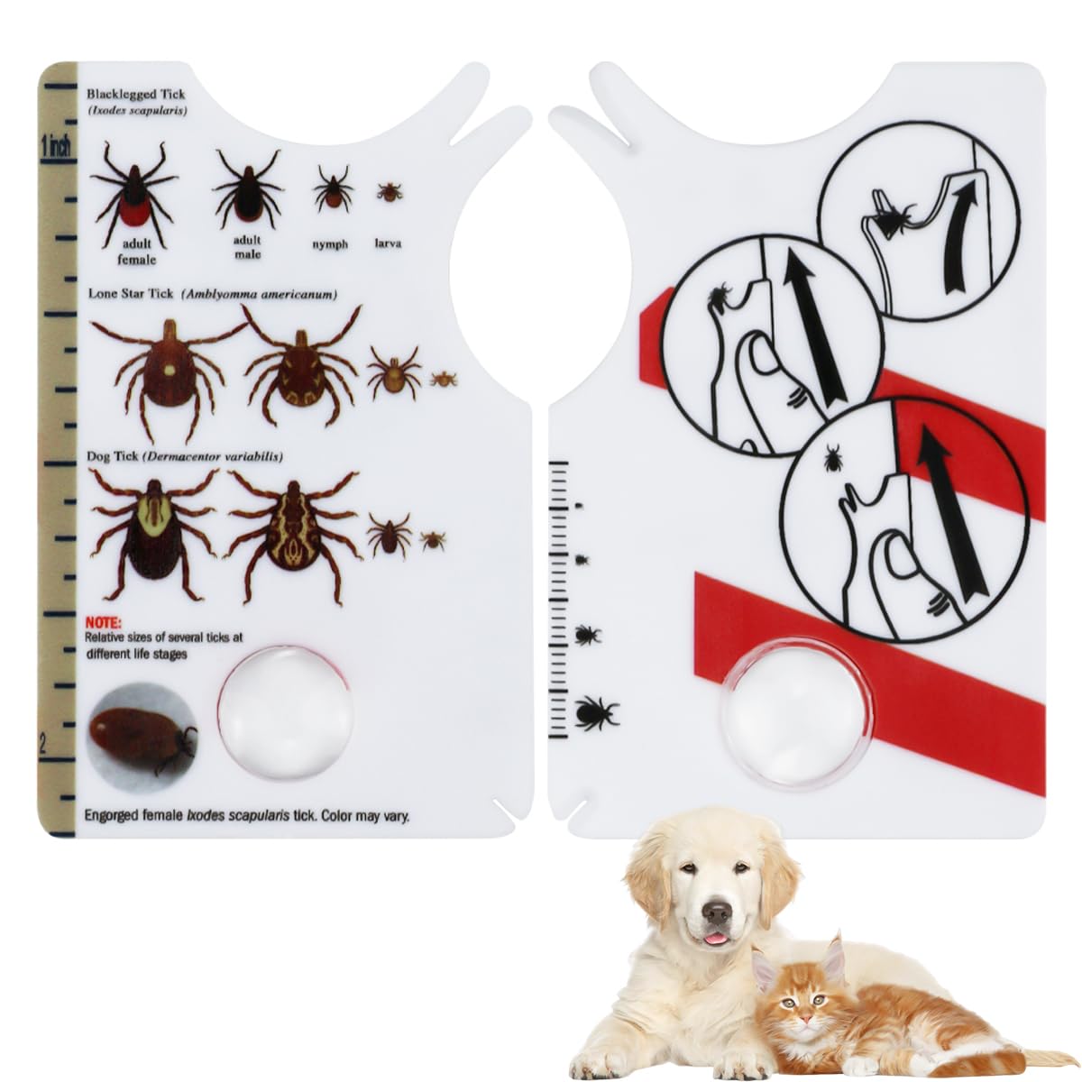 2 Pcs Portable Tire-Tique avec Loupe, Carte de Retrait de Tiques, pour Retirer Rapidement et en Douceur Les Tiques de L'animal de Compagnie ou de l'homme, Idéal pour Les Activités de Plein Air