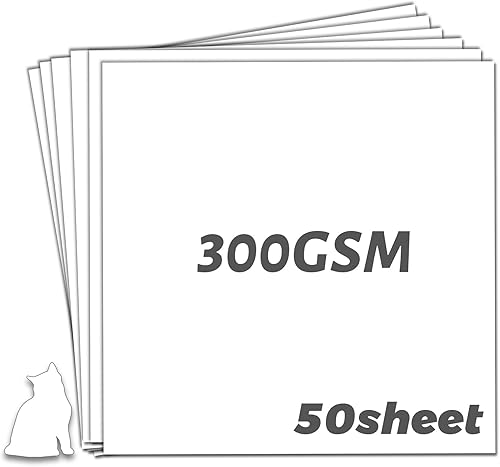YINUOYOUJIA Cartulina 12 x 12" de papel grueso, papel de construcción 300 gm110 lb 50 hojas de cartulina blanca (Blanco)